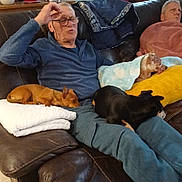 Abby a rejoint le concours — aidez-le/la à gagner de superbes lots ! blanket, blue_clothing, brown_leather, casual, couch, curtains, dog, elderly_man, glasses, heart_decor, lamp, living_room, orange_pot, plant, resting, seated, sleeping_dog, towel, window, yellow_pillow