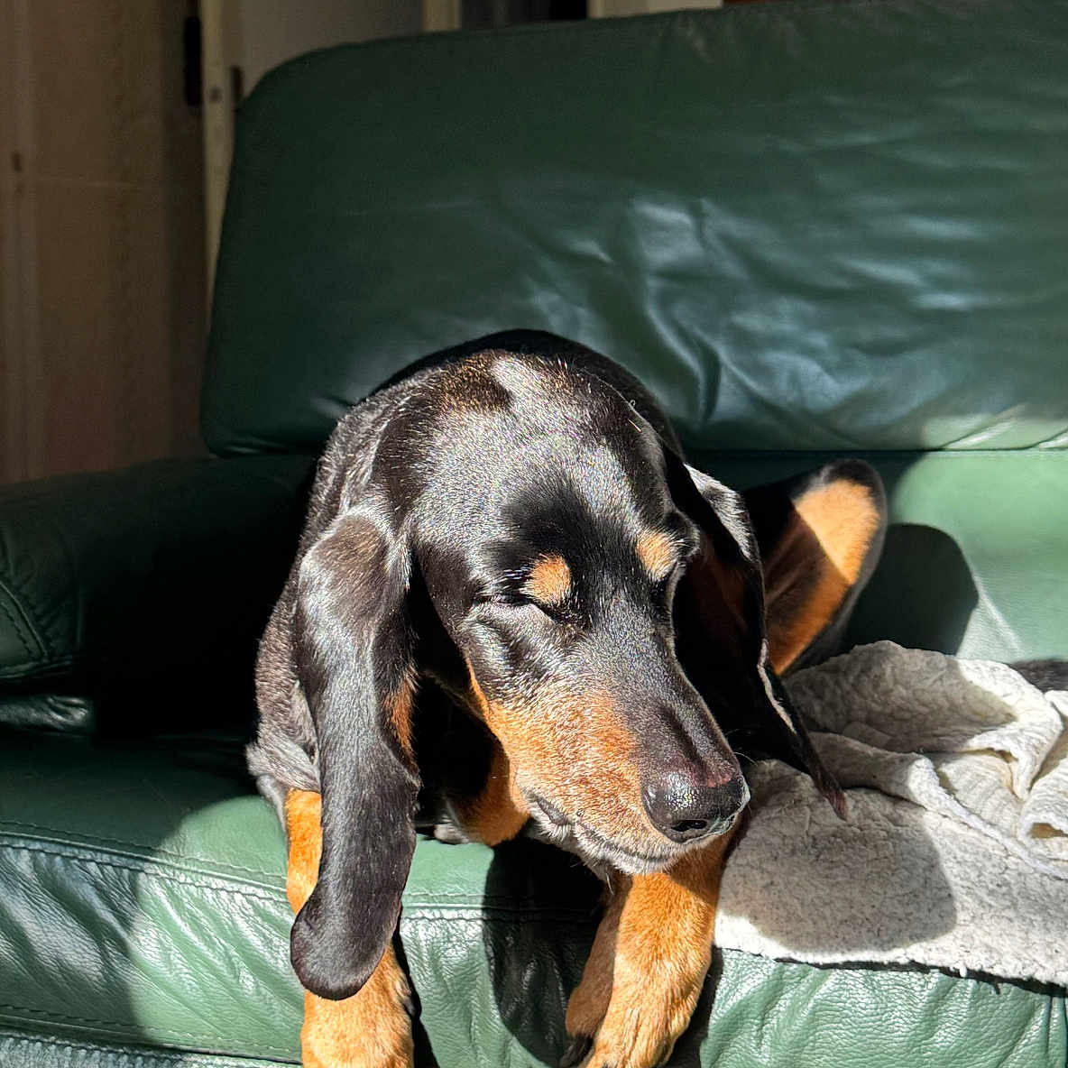 Lili