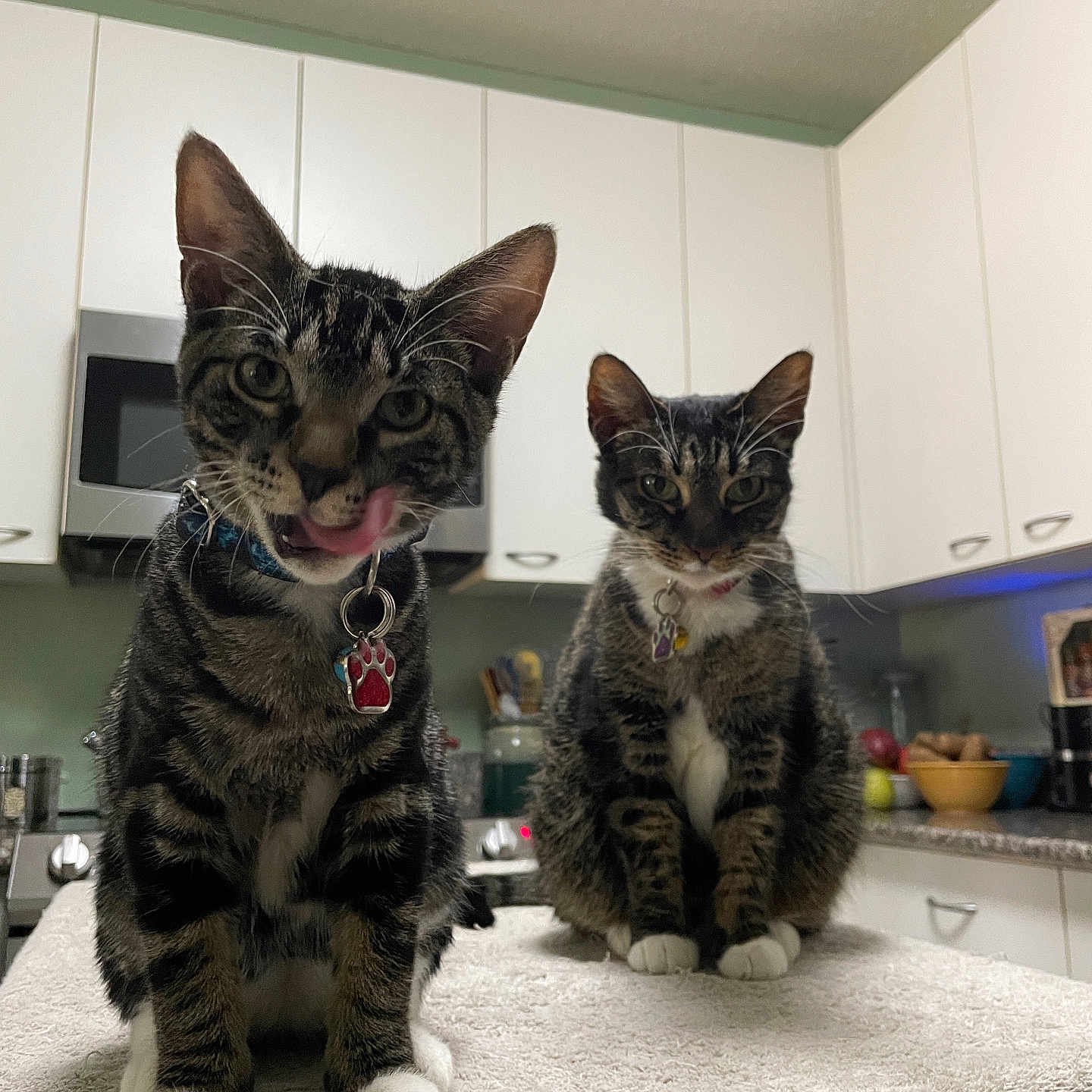 Remus And Minerva