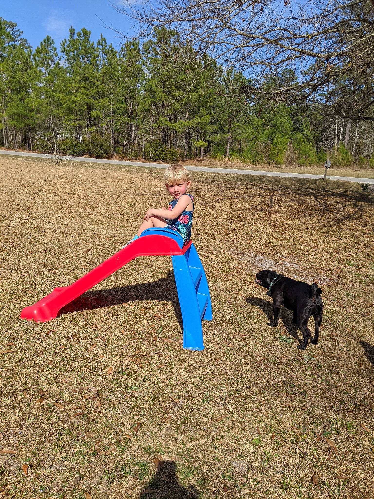 Scarlet joined the competition — help win amazing prizes! active_pants, agriculture, balance, carnivore, cloud, dog, dog_breed, electric_blue, field, grass, grassland, joy, leisure, people_in_nature, person, plant, recreation, sky, soil, sporting_group