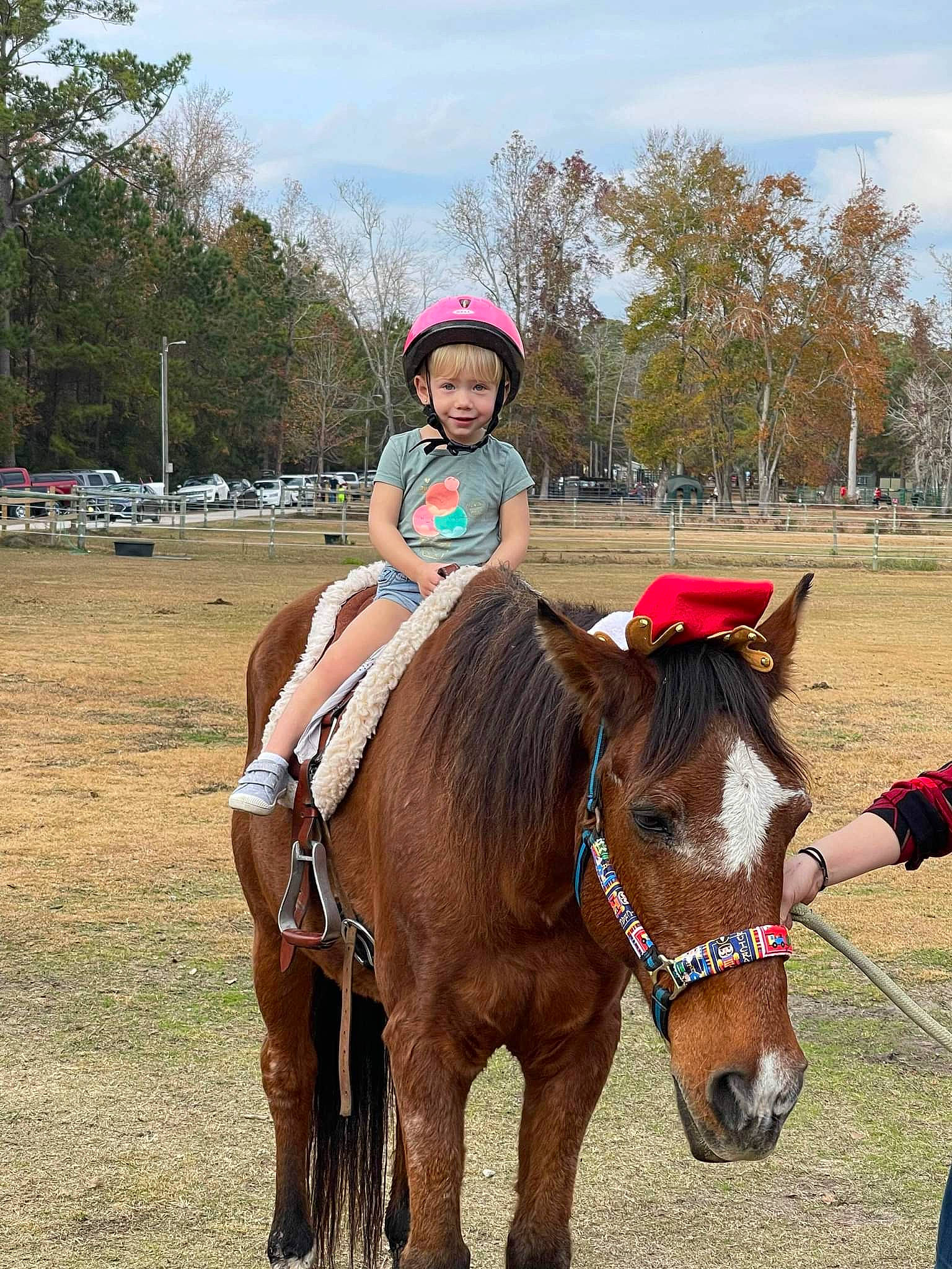 Scarlet joined the competition — help win amazing prizes! bit, bridle, cloud, equestrian_helmet, equestrian_sport, equestrianism, halter, hat, headwear, horse, horse_supplies, horse_tack, joy, mane, outdoor_recreation, person, rein, saddle, sky, sorrel