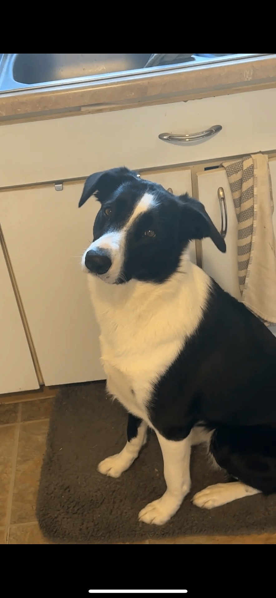Zoey