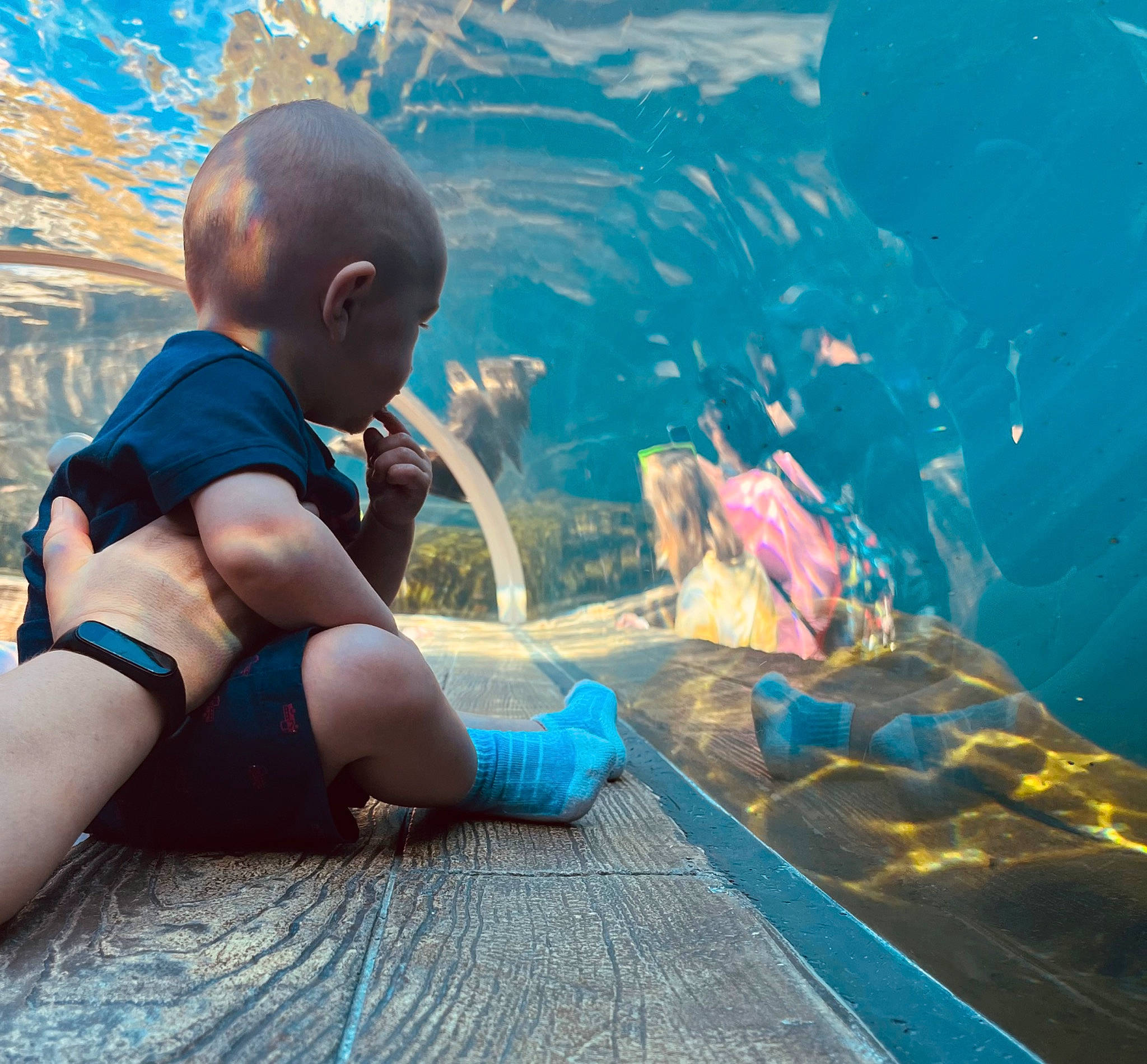 Bret joined the competition — help win amazing prizes! azure, baby, blue, body_of_water, child, fin, fish, fun, happy, leisure, mammal, marine_biology, person, recreation, shorts, thigh, toddler, underwater, vertebrate, water