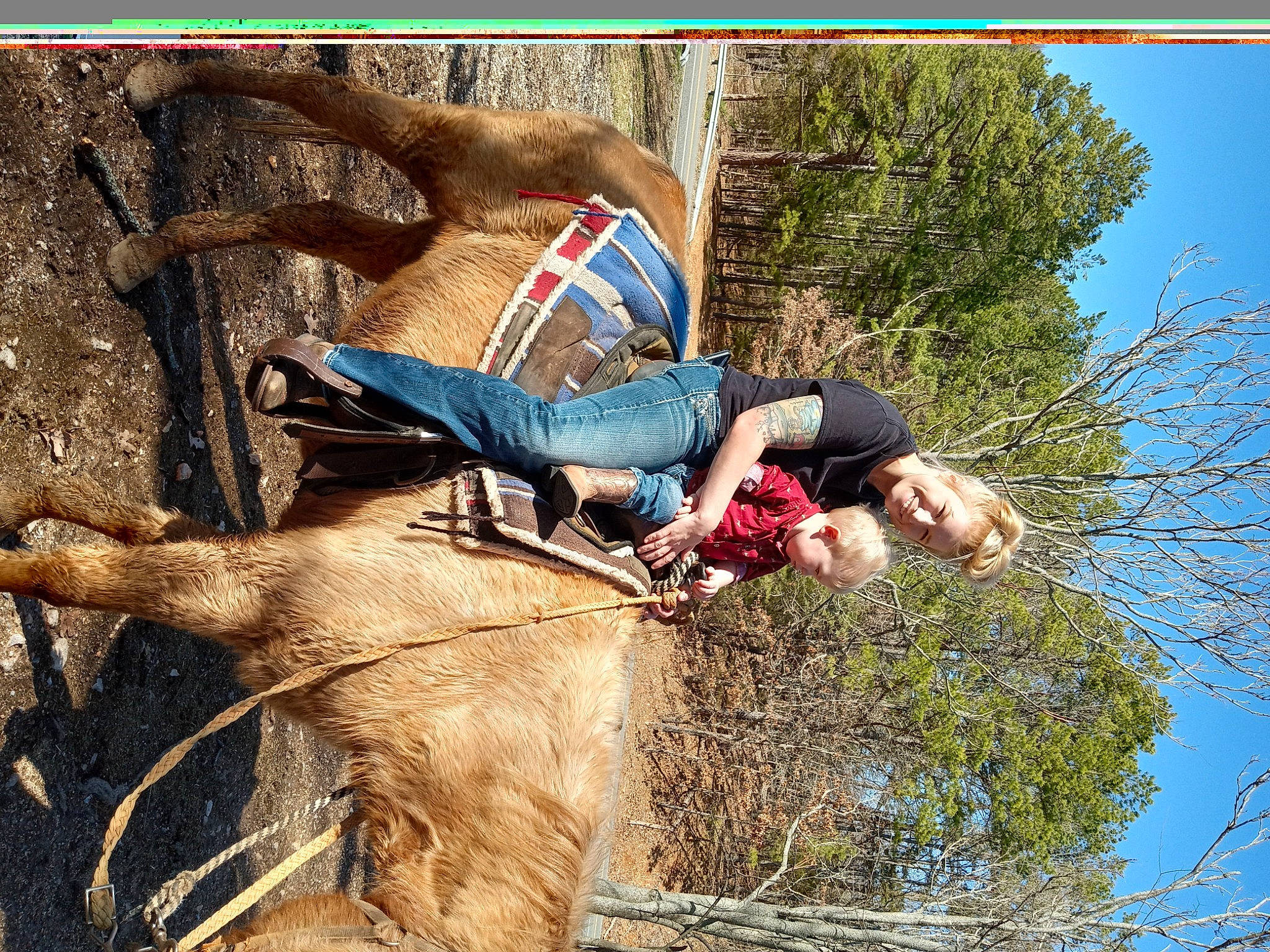 Drake joined the competition — help win amazing prizes! adventure, bridle, fun, grass, happy, horse, horse_supplies, horse_tack, joy, landscape, leisure, pack_animal, people_in_nature, person, plant, recreation, rein, saddle, sky, soil