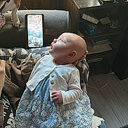 Summer joined the competition — help win amazing prizes! baby, infant, baby_girl, dress, cardigan, socks, blanket, sofa, dog, smartphone, fan, nightstand, wooden_window, curtain, floor, sitting, looking_up, indoor, portrait, cute