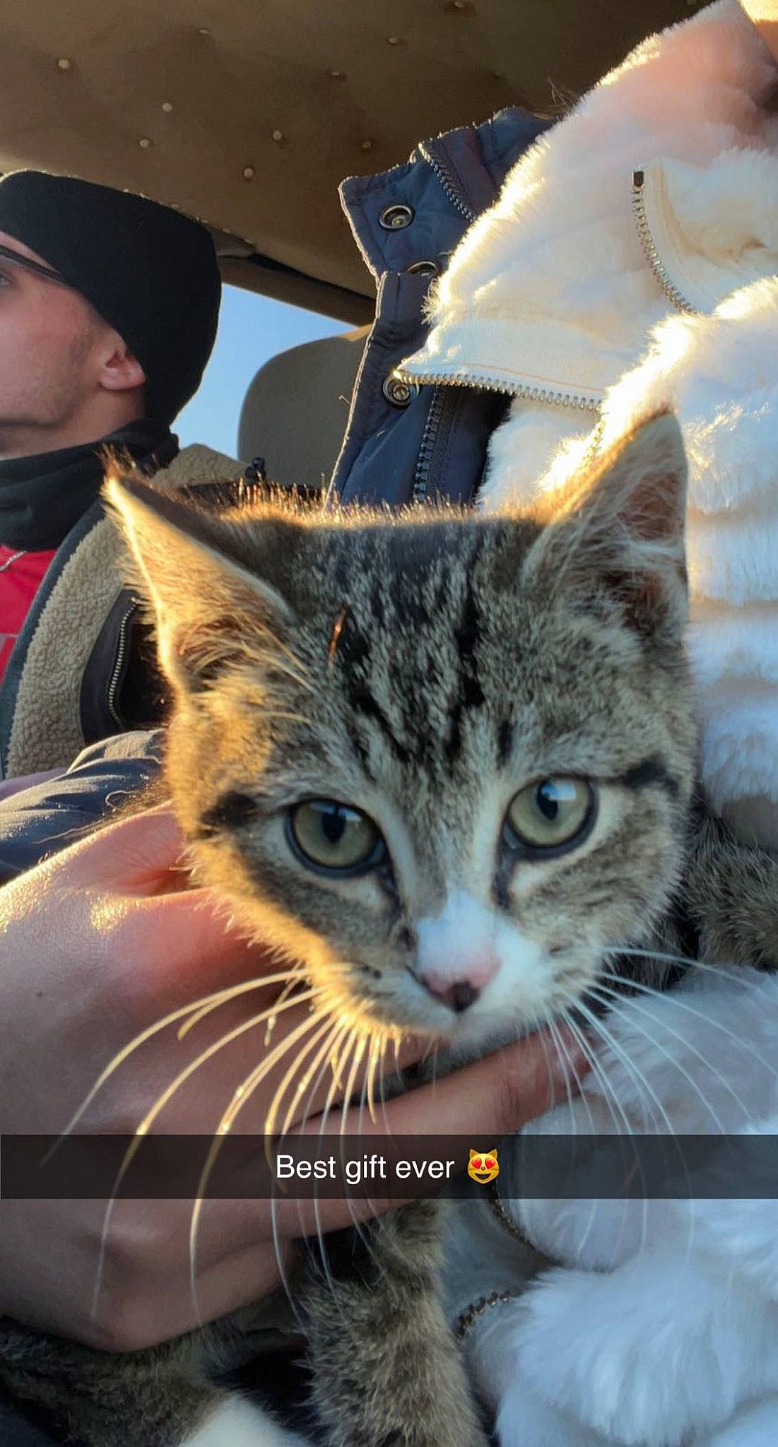 Calvin is registered to the contest to win money with this photo: baseball_cap, cap, carnivore, cat, claw, domestic_short_haired_cat, felidae, fur, hat, mammal, paw, photo_caption, small_to_medium_sized_cats, snapshot, snout, vertebrate, whiskers, window