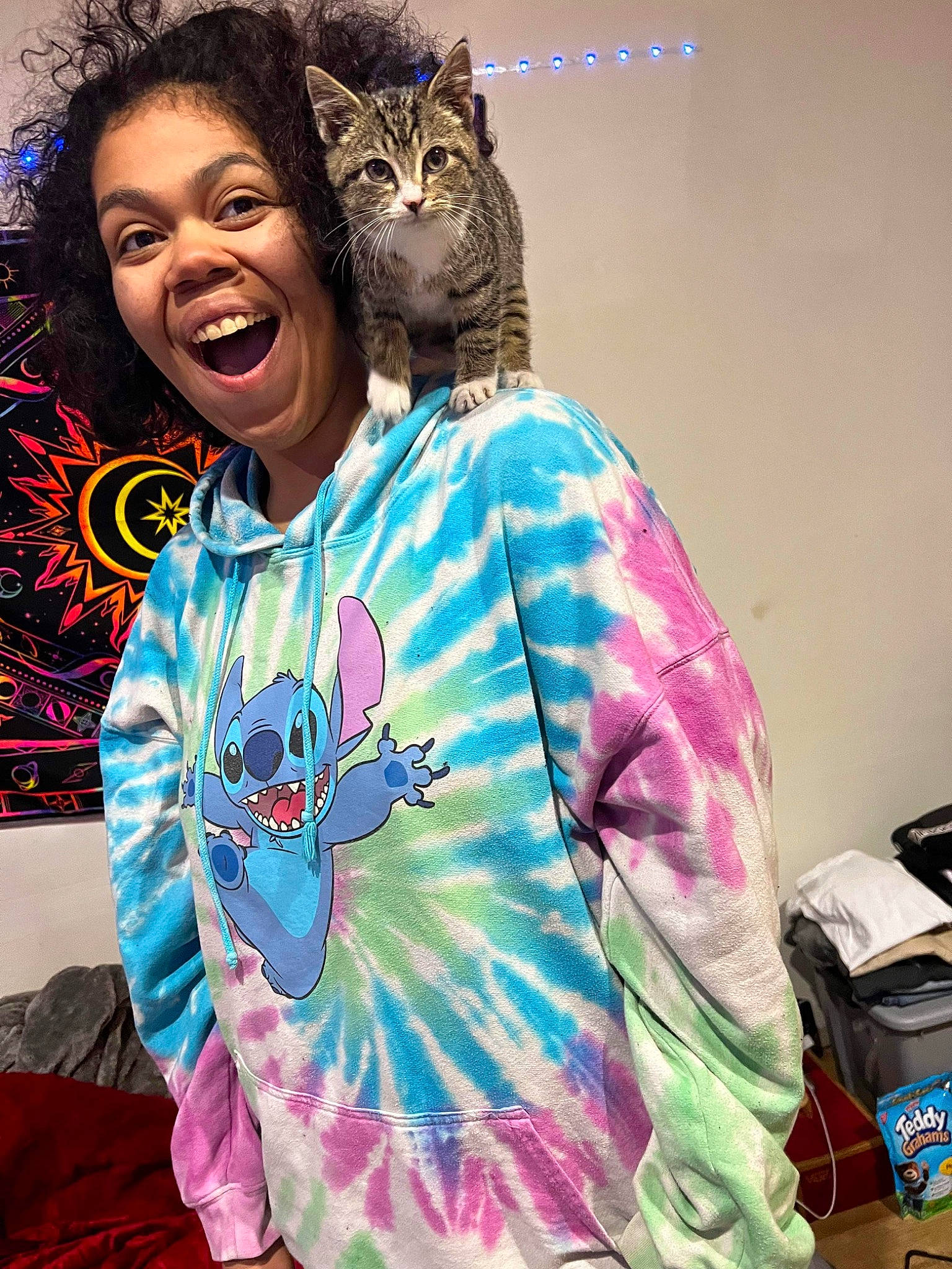 Calvin is registered to the contest to win money with this photo: artist, box, cat, cool, electric_blue, entertainment, event, eyewear, fashion_design, felidae, fun, gesture, happy, magenta, performing_arts, pink, sleeve, small_to_medium_sized_cats, smile, t_shirt