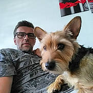 Funcky a rejoint le concours — aidez-le/la à gagner de superbes lots ! carnivore, comfort, companion_dog, dog, dog_breed, ear, eyewear, fun, fur, gesture, glasses, happy, sitting, snout, sporting_group, t_shirt, toy_dog, travel, vision_care, working_animal