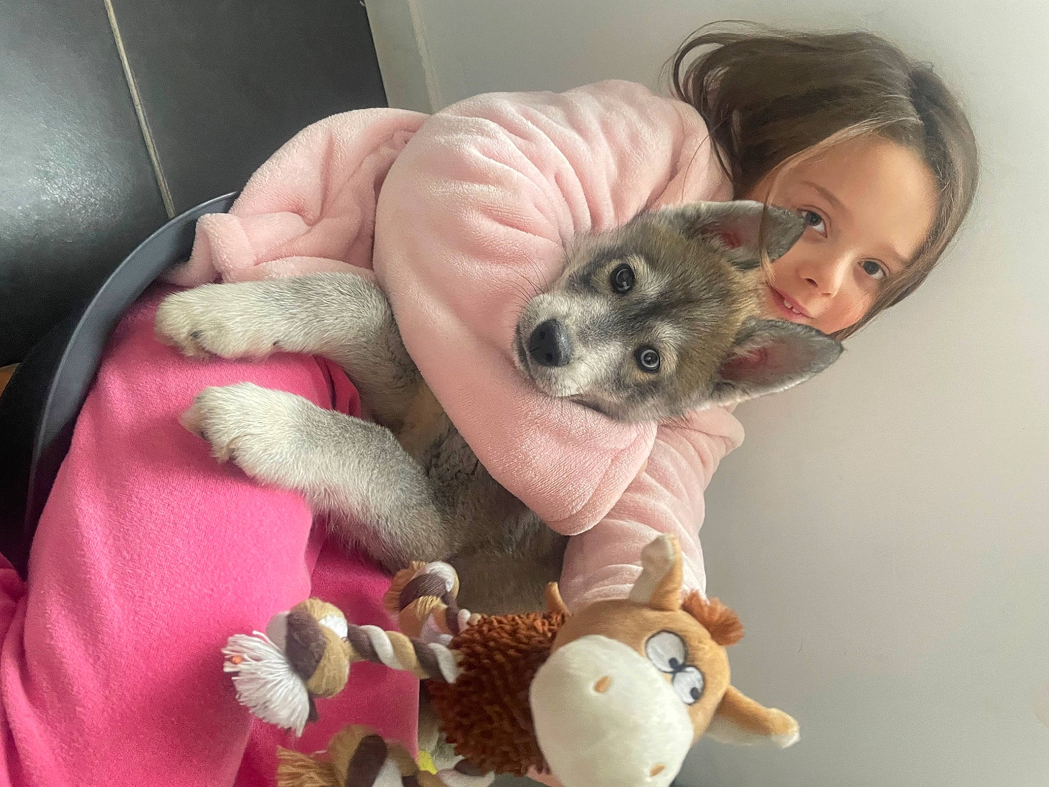 Lyse a rejoint le concours — aidez-le/la à gagner de superbes lots ! button, child, companion_dog, dog_breed, dog_supply, doll, fashion_accessory, fawn, fur, nail, paw, person, pink, plush, stuffed_toy, toy, toy_dog, whiskers, working_animal