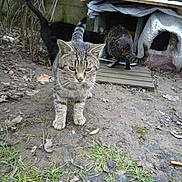 Canaille a rejoint le concours — aidez-le/la à gagner de superbes lots !