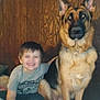 Bella is registered to the contest to win money with this photo: child, boy, dog, german_shepherd, pet, smiling, indoor, wooden_wall, furniture, collar, sitting, happy, friendship, portrait, human, animal, cute, companion, casual_clothing, home