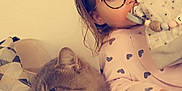 Layana a rejoint le concours — aidez-le/la à gagner de superbes lots ! bedding, carnivore, cat, comfort, companion_dog, doll, domestic_short_haired_cat, eyewear, fawn, felidae, fur, happy, selfie, sitting, small_to_medium_sized_cats, snout, sunglasses, toy, vision_care, whiskers