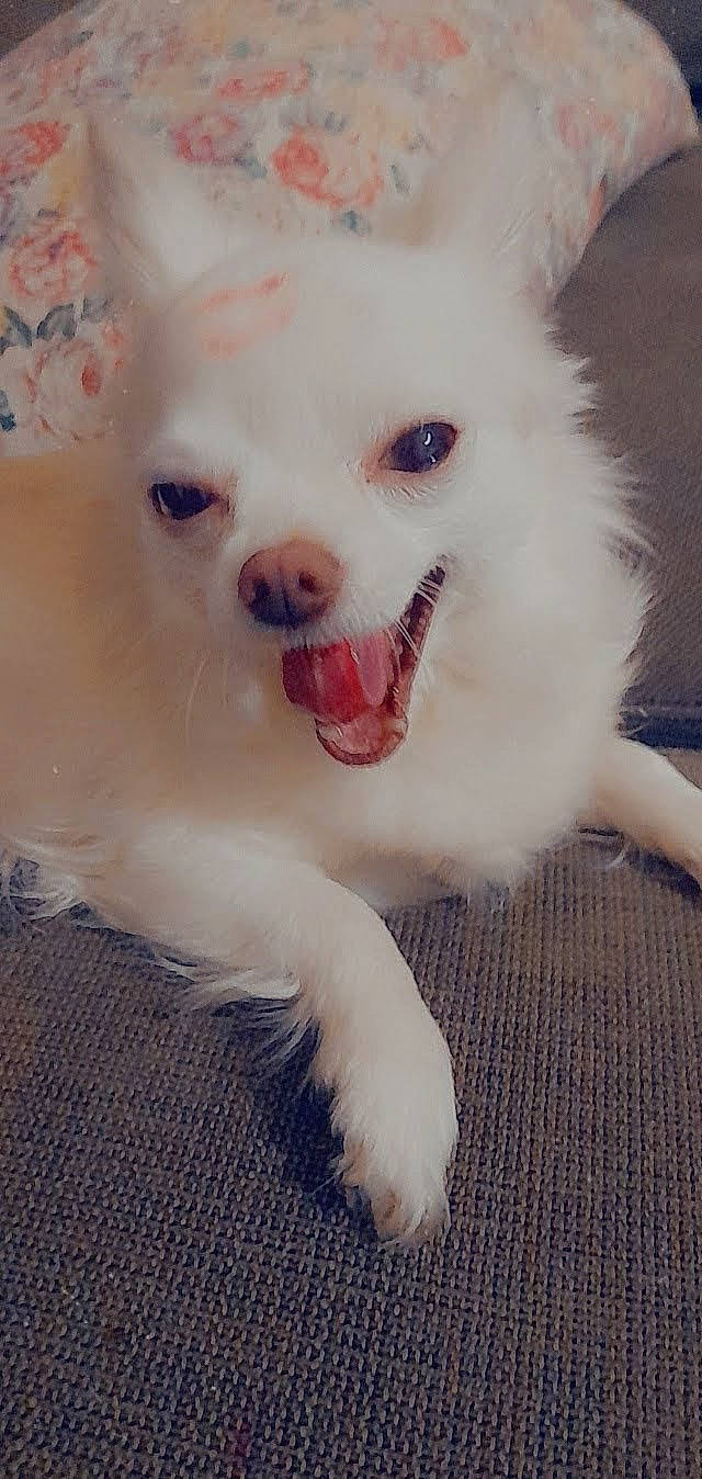 Loca