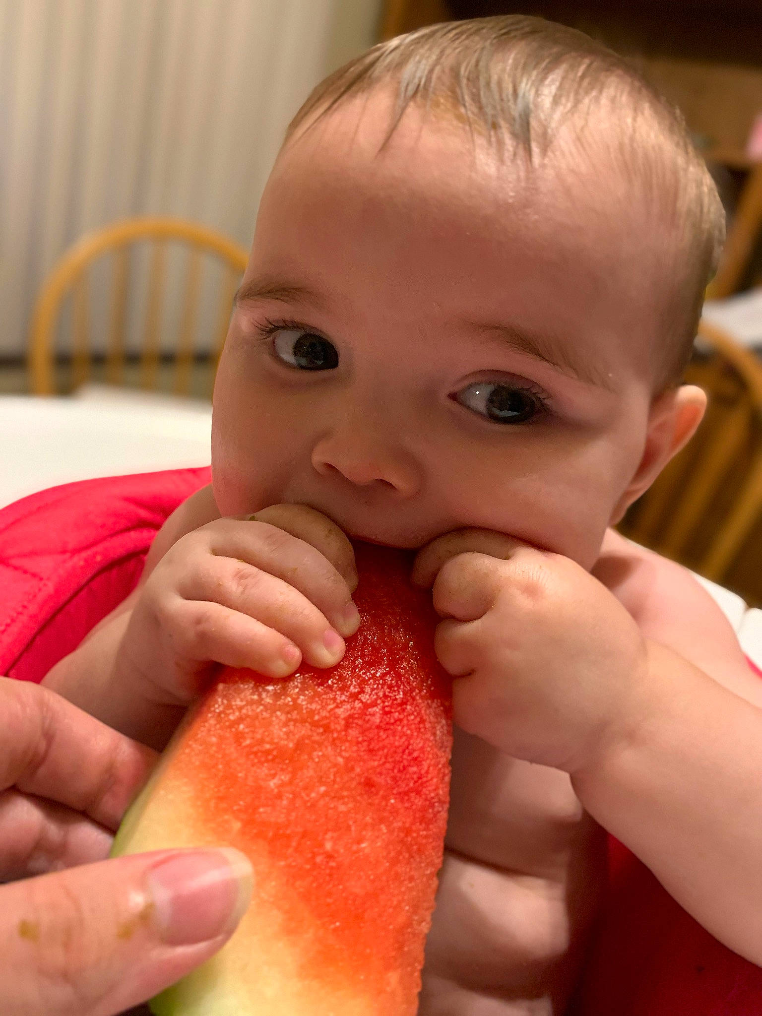 Aiyana joined the competition — help win amazing prizes! baby, biting, cheek, dress, eyelash, finger, fruit, gesture, hand, happy, lip, mouth, nail, natural_foods, neck, nose, person, skin, thumb, toddler