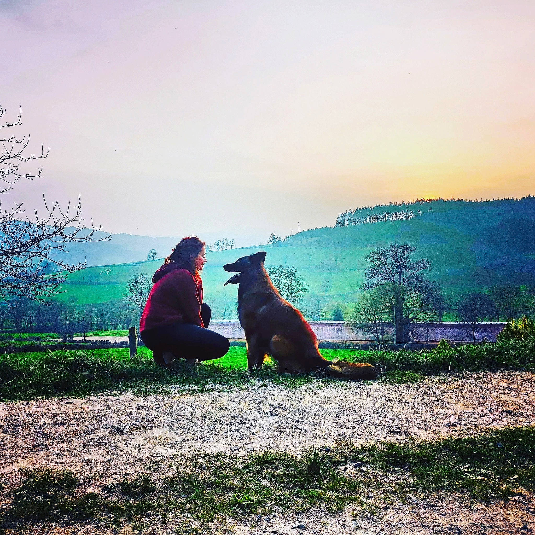 Jinko a rejoint le concours — aidez-le/la à gagner de superbes lots ! atmospheric_phenomenon, canidae, cloud, evening, grass, hill, labrador_retriever, morning, mountain, photography, rural_area, sitting, sky, sporting_group, sunlight, sunrise, sunset, tree, wilderness, winter