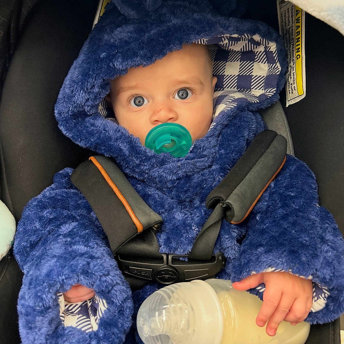 Roberto Candelatia joined the competition — help win amazing prizes! baby, blue_hooded_outfit, car_seat, child, clothing, comfort, cute, face, feeding, hand, indoors, infant, looking, milk_bottle, pacifier, portrait, sitting, straps, warm, wide_eyes