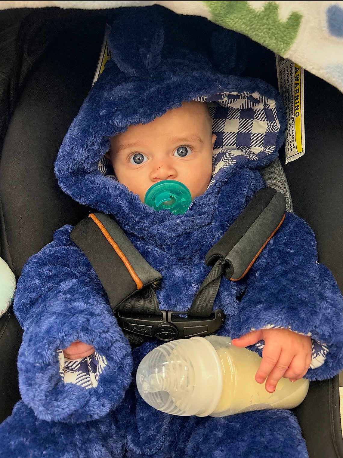 Roberto Candelatia joined the competition — help win amazing prizes! baby, pacifier, milk_bottle, blue_hooded_outfit, car_seat, infant, child, cute, wide_eyes, clothing, straps, hand, face, looking, indoors, portrait, warm, comfort, sitting, feeding