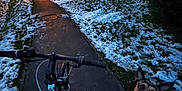 Rio a rejoint le concours — aidez-le/la à gagner de superbes lots ! dog, bicycle, handlebars, path, snow, park, trees, streetlamp, evening, grass, harness, sidewalk, winter, outdoor, pet, looking_up, pavement, cold, low_light, perspective