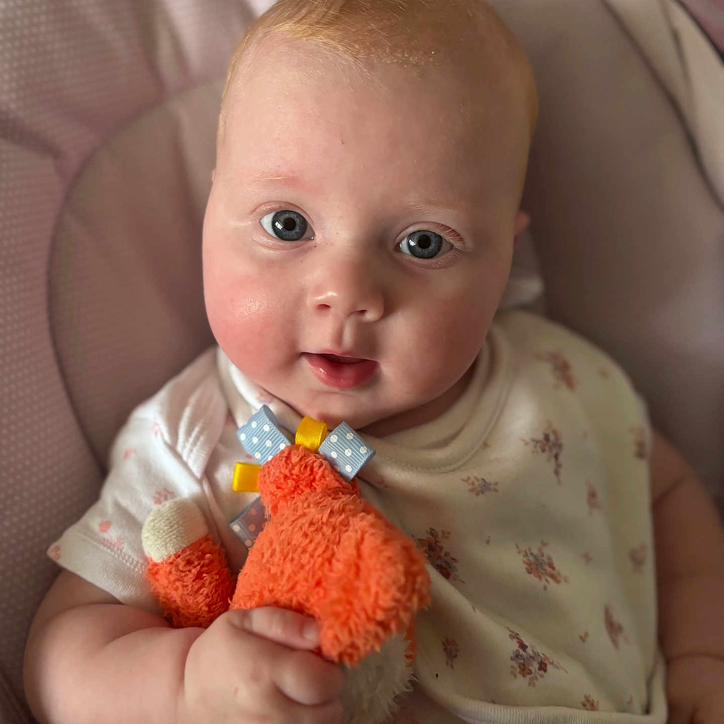 Maeve joined the competition — help win amazing prizes! adorable, baby, bib, blue_eyes, child, close_up, clothing, cushion, cute, hand, happy, indoor, infant, looking_at_camera, orange_toy, plush, portrait, seated, soft_fabric, stuffed_toy