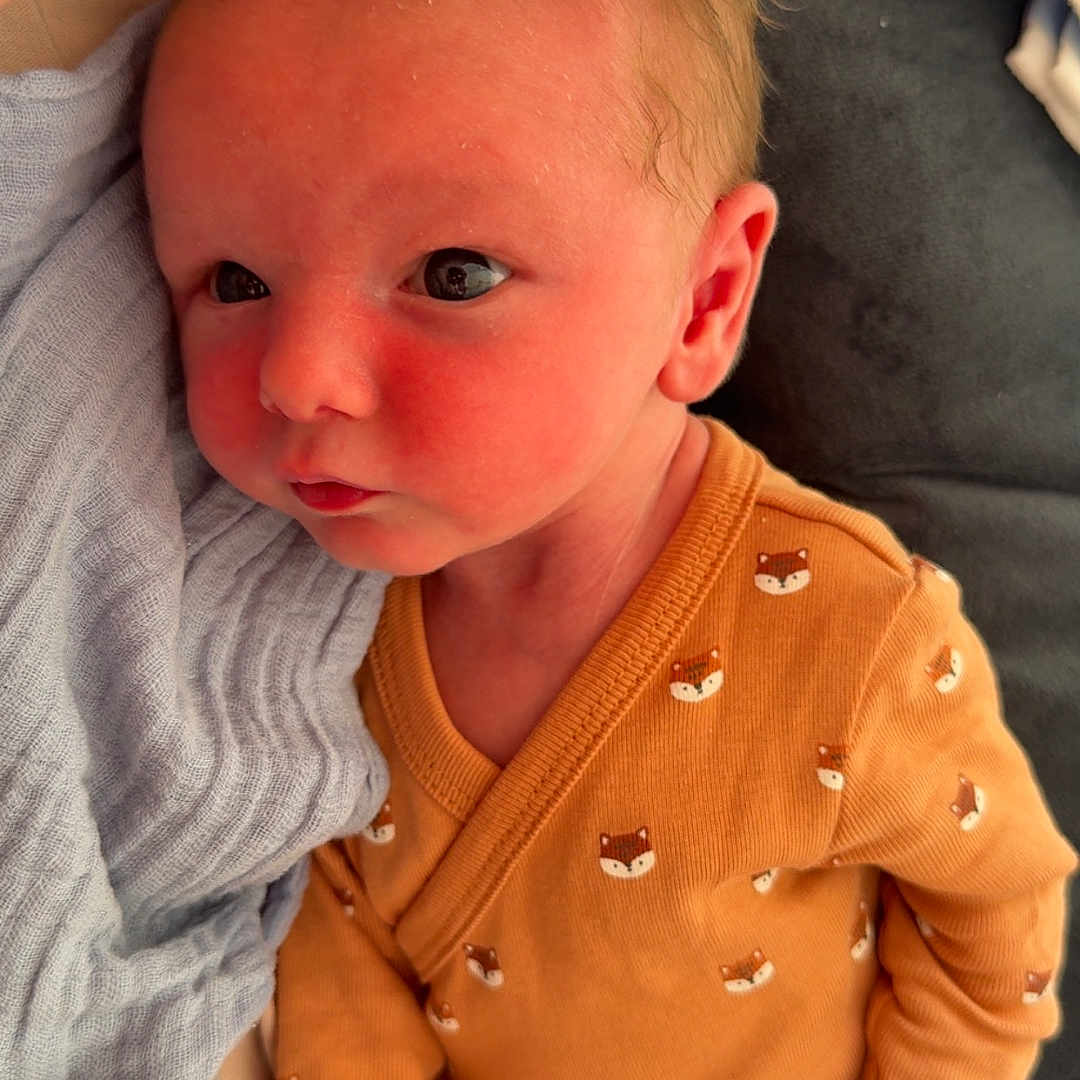 Ezio Brachet participe au concours pour gagner de l'argent avec cette photo : baby, blanket, clothing, cozy, cushion, cute, face, fox_pattern, hand, indoors, infant, newborn, onesie, orange, person, portrait, resting, skin, soft, young_child