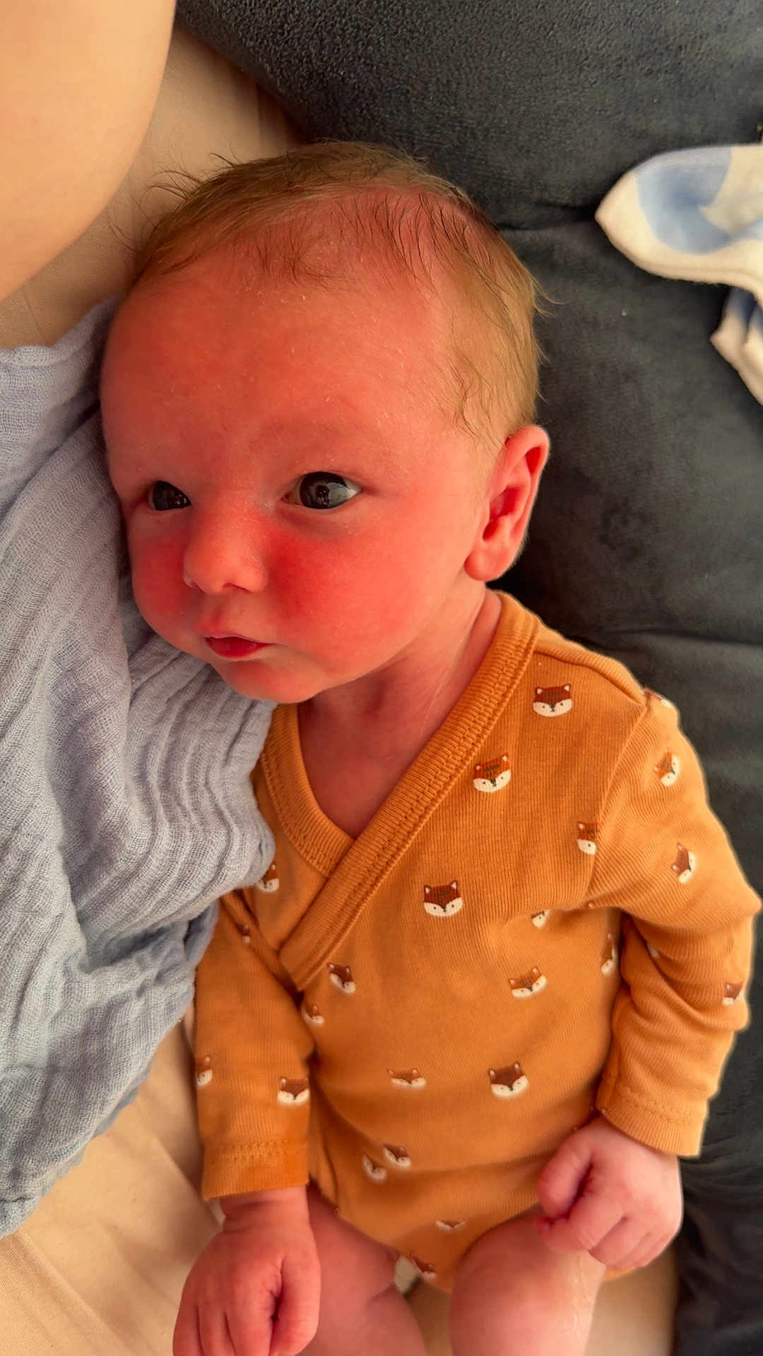 Ezio Brachet participe au concours pour gagner de l'argent avec cette photo : baby, newborn, infant, onesie, clothing, fox_pattern, orange, blanket, cushion, hand, face, skin, person, cute, soft, resting, indoors, portrait, young_child, cozy