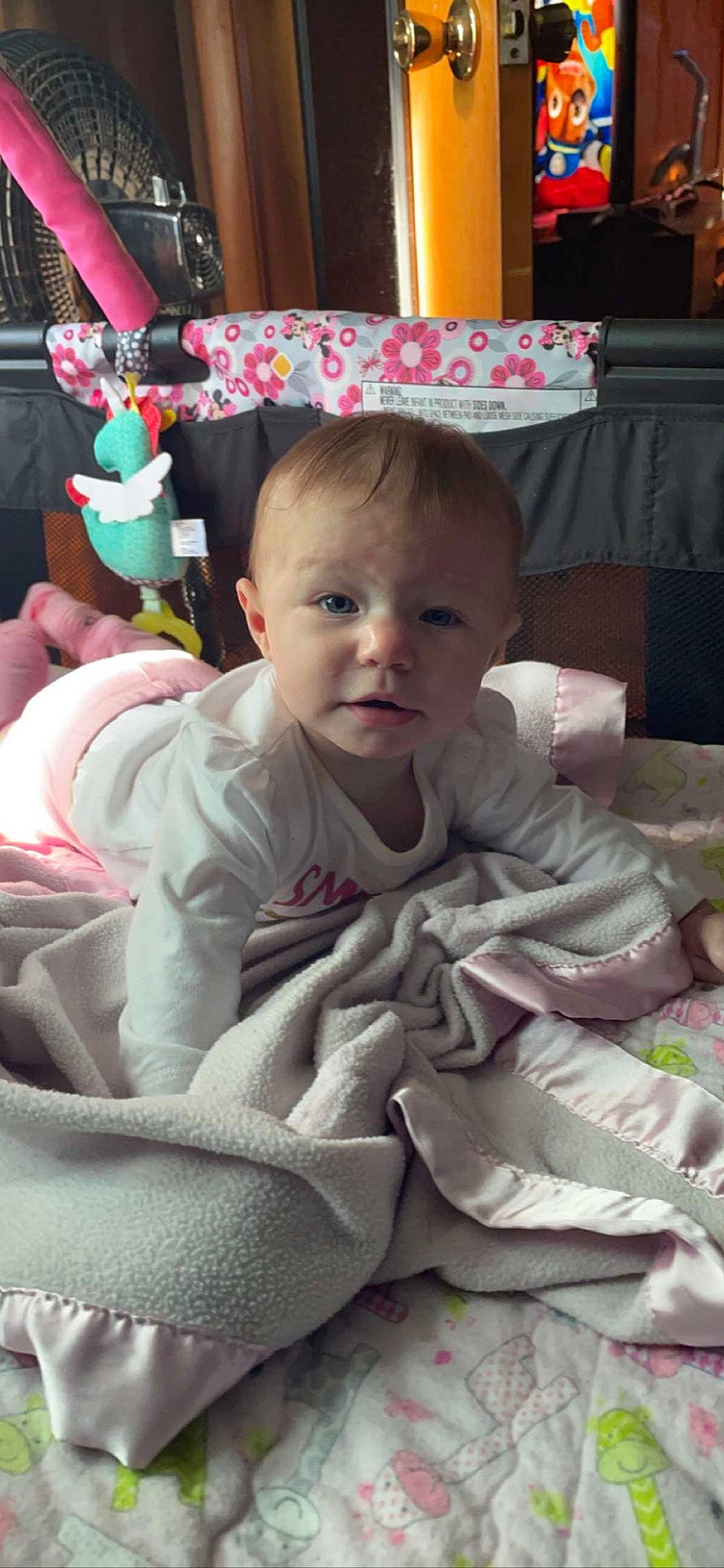 Payton is registered to the contest to win money with this photo: baby, baby_carriage, baby_products, baby_safety, baby_toddler_clothing, beauty, cheek, child, comfort, eye, face, head, linens, person, pink, product, room, skin, textile, toddler