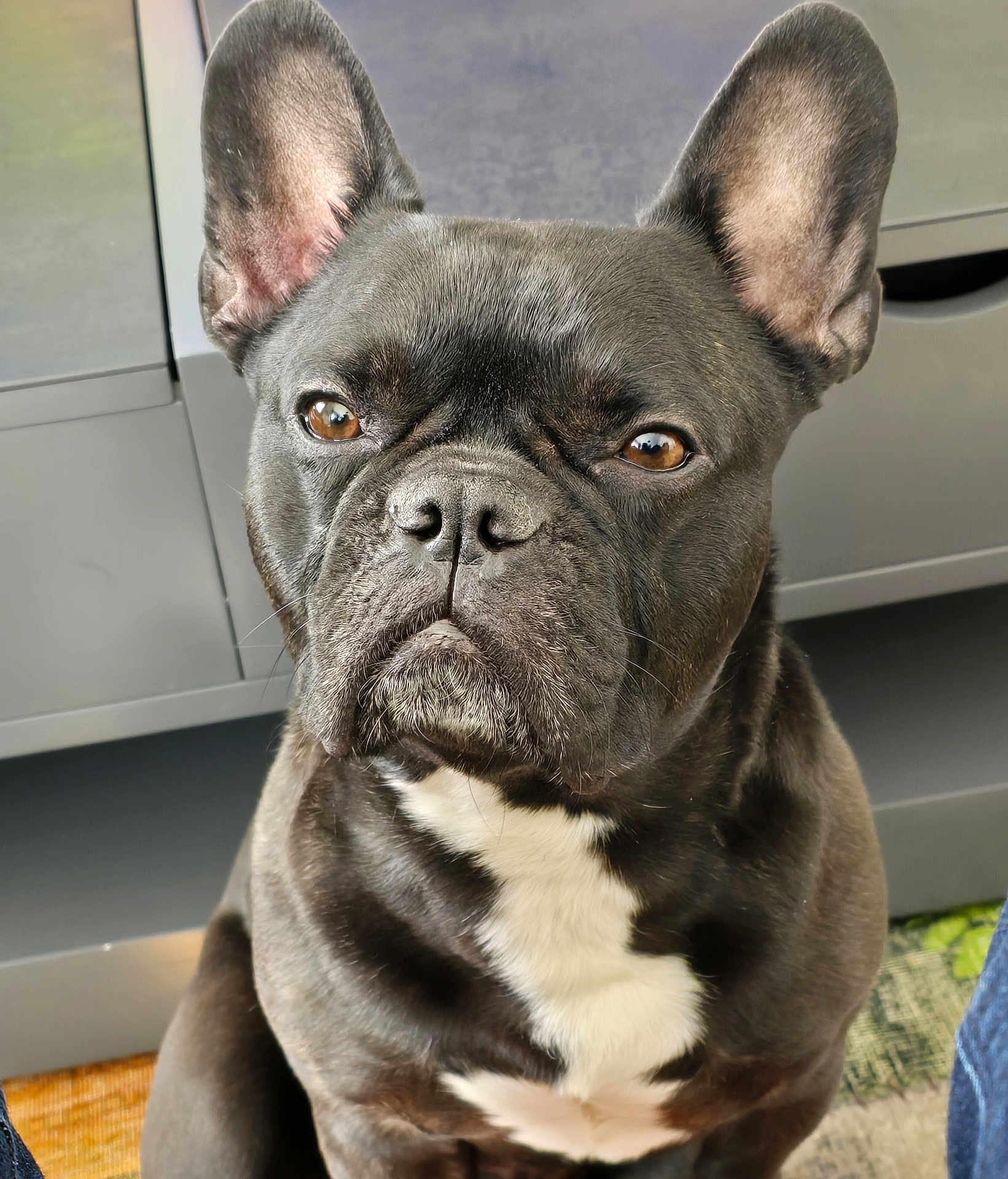 Marcel