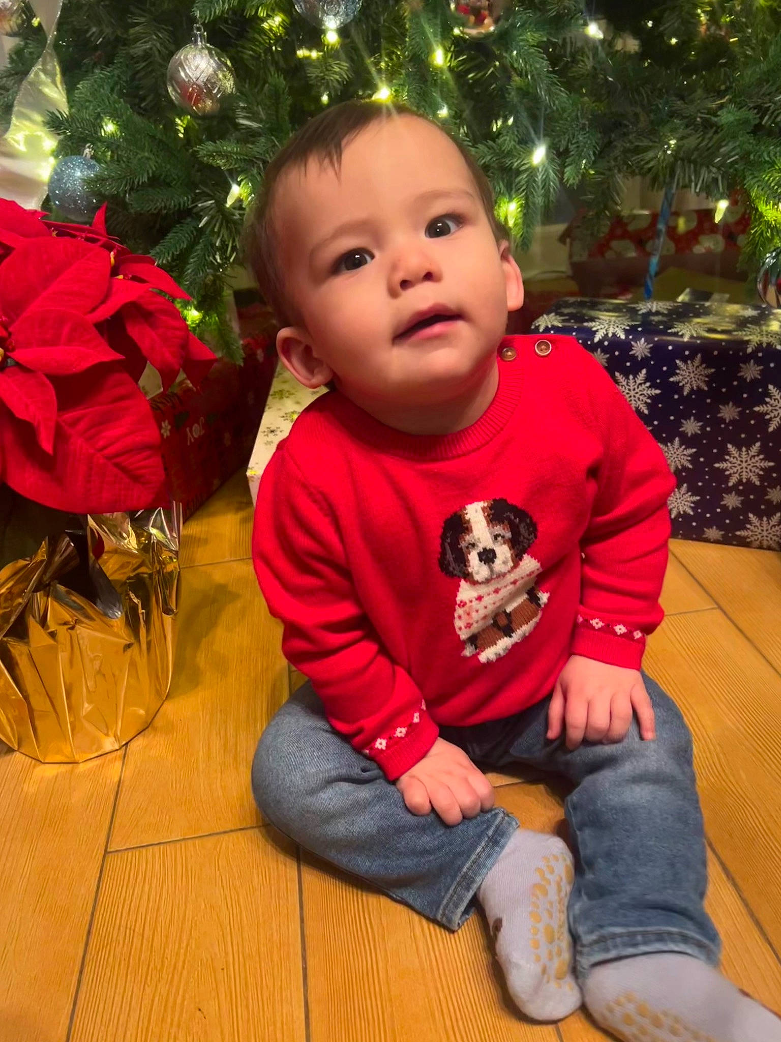Julian is registered to the contest to win money with this photo: baby, baby_toddler_clothing, child, christmas, christmas_decoration, christmas_ornament, christmas_tree, grass, happy, head, holiday, holiday_ornament, jeans, ornament, person, skin, sleeve, standing, toddler, tree