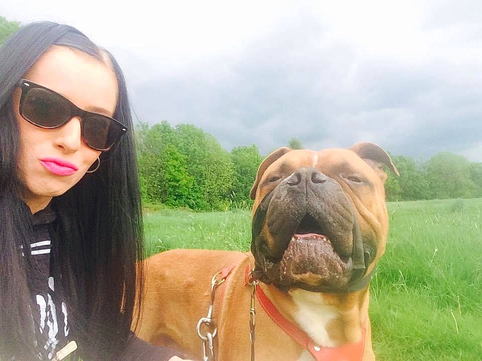 Big Reggie is registered to the contest to win money with this photo: carnivore, cloud, companion_dog, dog, dog_breed, eyewear, fawn, glasses, goggles, grass, happy, head, leisure, plant, sky, sunglasses, travel, vision_care, water, wrinkle