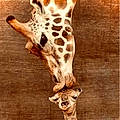 Julie C.