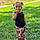 Kinslee
