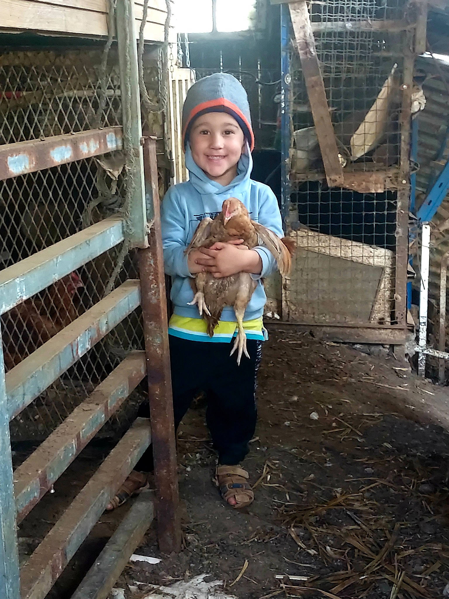 Eyden a rejoint le concours — aidez-le/la à gagner de superbes lots ! animal_shelter, child, city, fence, fun, hat, headwear, joy, leisure, mesh, metal, net, person, play, product, smile, soil, standing, t_shirt, toddler