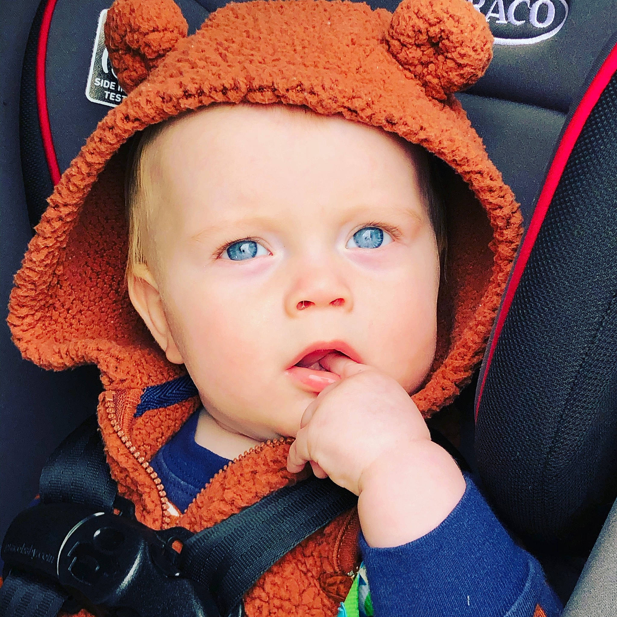 Bennett is registered to the contest to win money with this photo: baby, baby_carriage, baby_in_car_seat, beanie, cap, car_seat, cheek, child, face, finger, hat, head, headgear, headwear, knit_cap, lip, mouth, person, product, skin