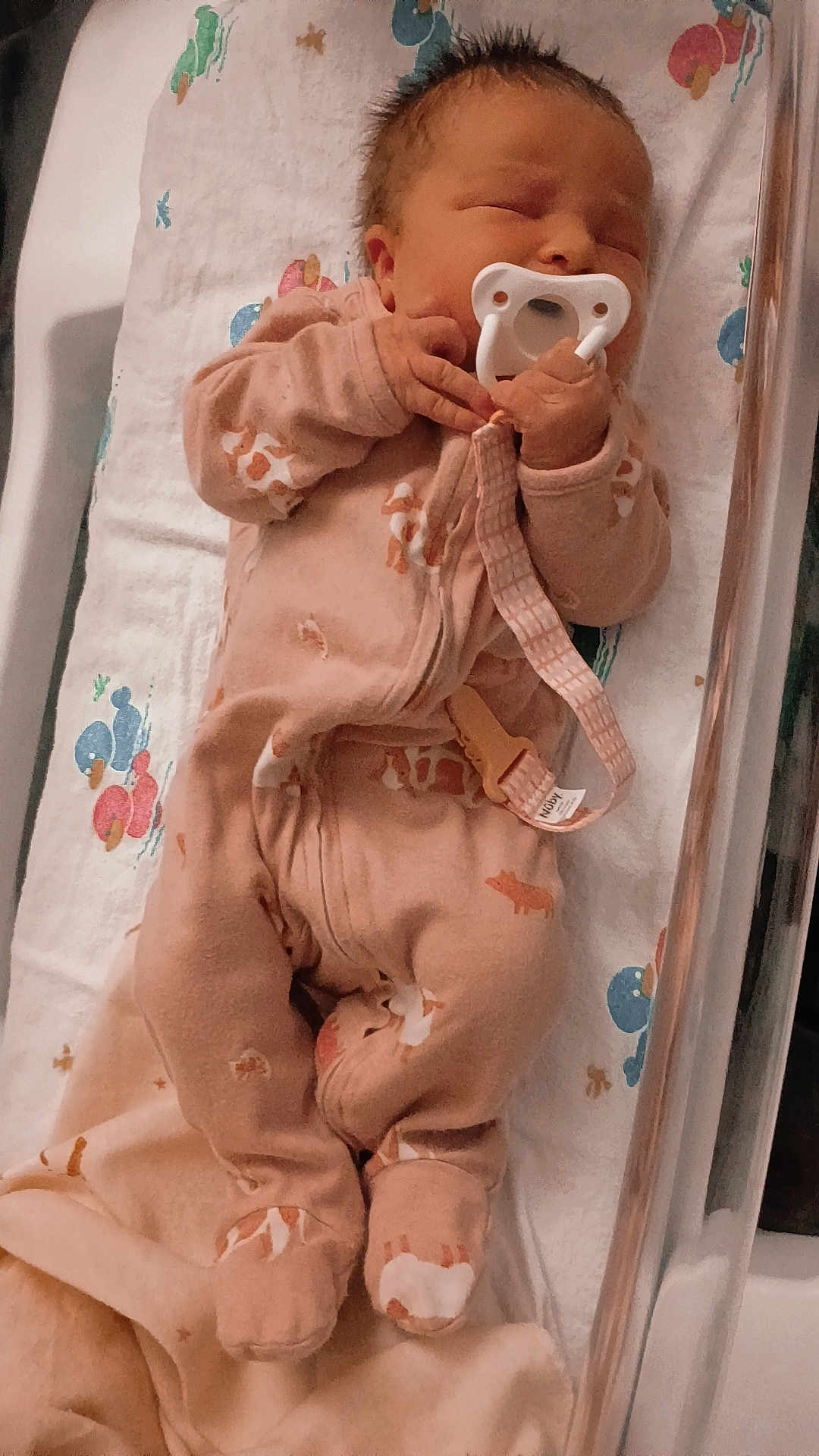 Octavia joined the competition — help win amazing prizes! newborn, baby, infant, pacifier, onesie, pink_clothing, sleeping, bassinet, hospital, blanket, animal_print, cute, peaceful, child, resting, indoors, soft_lighting, small_hands, cozy, nursery