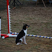 Harley is registered to the contest to win money with this photo: