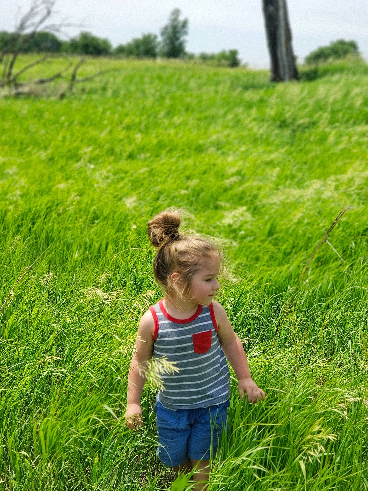 Nathan is registered to the contest to win money with this photo: baby_toddler_clothing, ecoregion, grass, grassland, green, groundcover, happy, jeans, leaf, leisure, meadow, natural_landscape, people_in_nature, person, plant, sky, summer, sunlight, terrestrial_plant, toddler