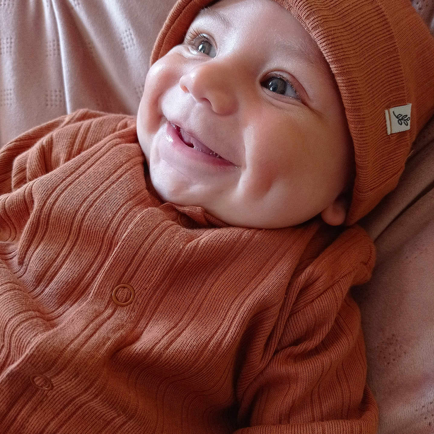 Tiago participe au concours pour gagner de l'argent avec cette photo : baby, blanket, child, closeup, cozy, cute, dimples, face, happy, indoor, infant, knit_hat, knitwear, orange_clothing, person, portrait, smile, soft_texture, warm, young