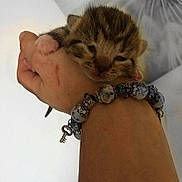 Baby is registered to the contest to win money with this photo: