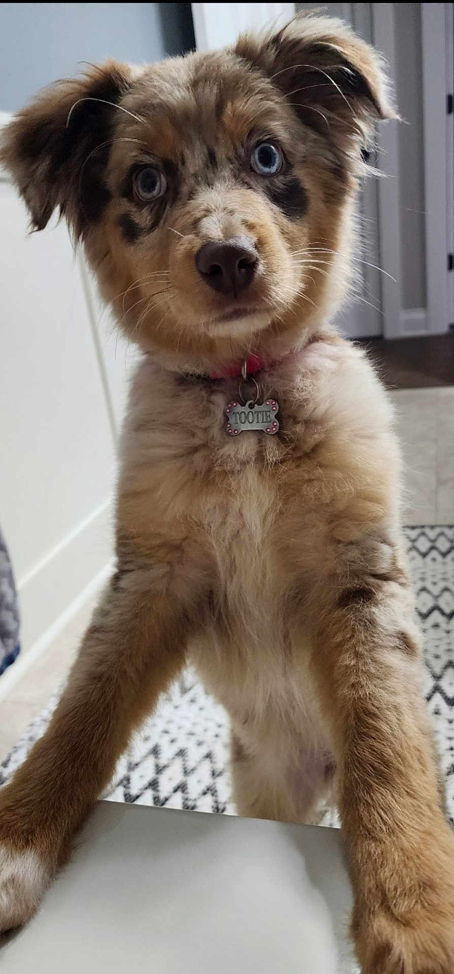 Tootie