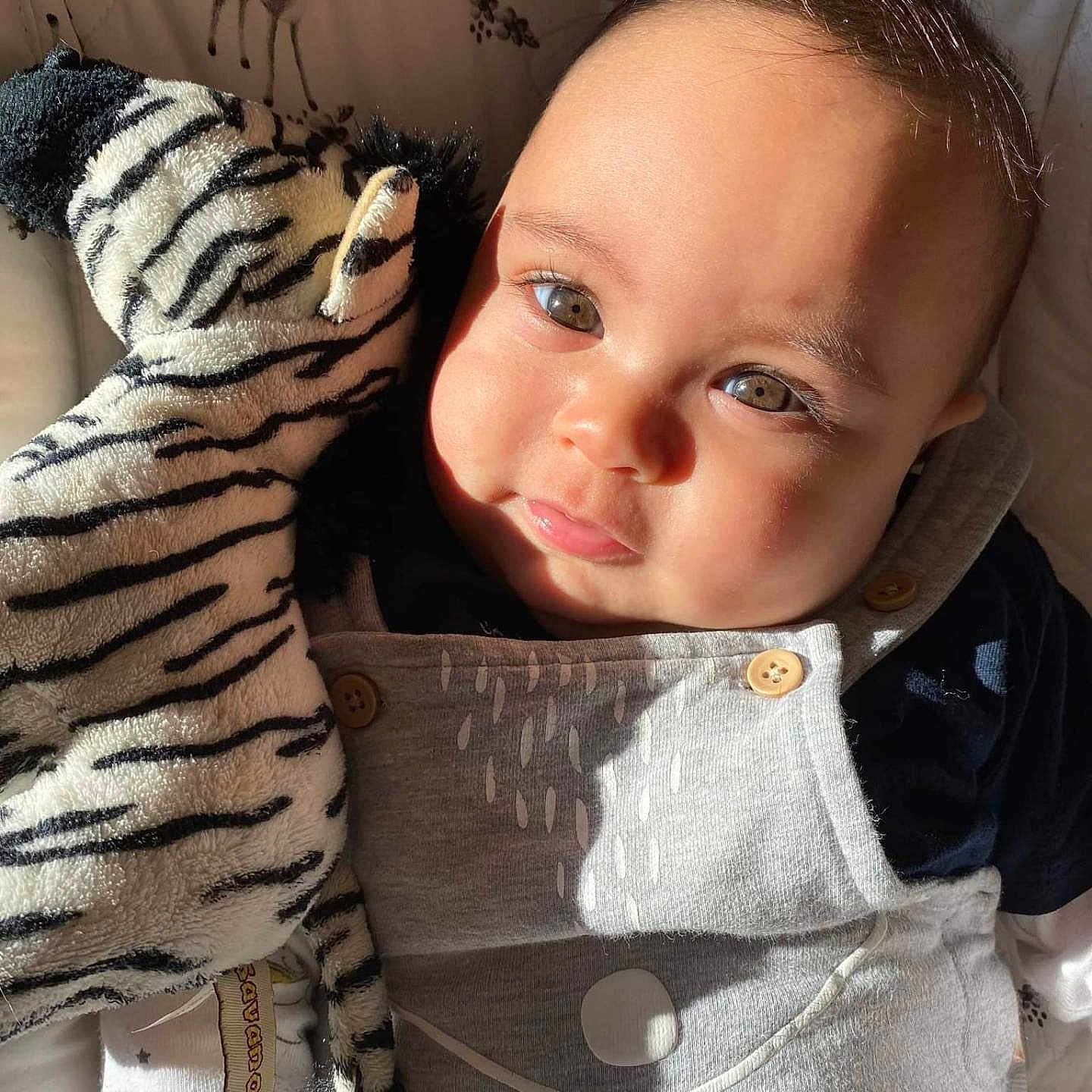 Ylies participe au concours pour gagner de l'argent avec cette photo : animal, baby, blanket, couch, cushion, face, furniture, hair, happy, head, homedecor, kangaroo, person, photography, pillow, portrait, selfie, smile, spitting, tiger