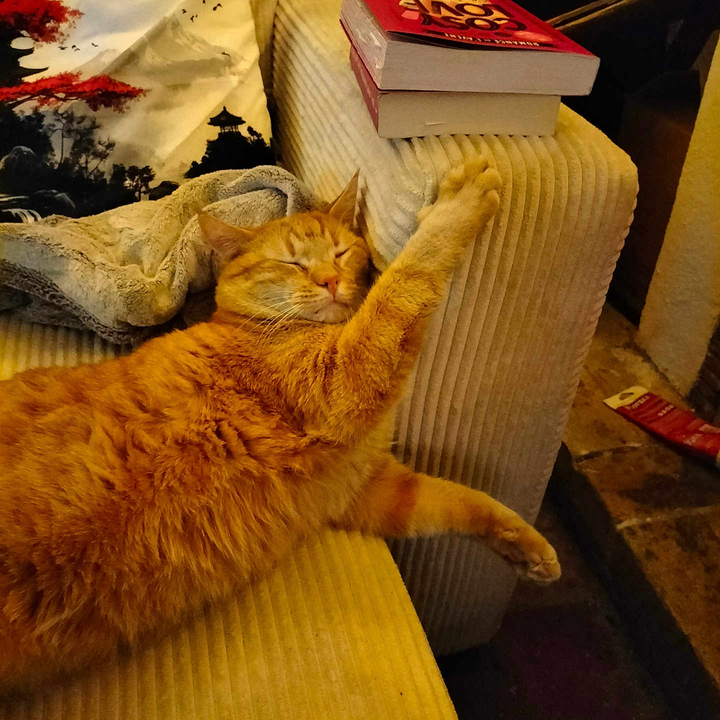 Titwix participe au concours pour gagner de l'argent avec cette photo : armrest, blanket, books, cat, comfort, corduroy, couch, cozy, fur, furniture, home, indoor, living_room, nap, orange_tabby, pet, pillow, relaxing, resting, sleeping