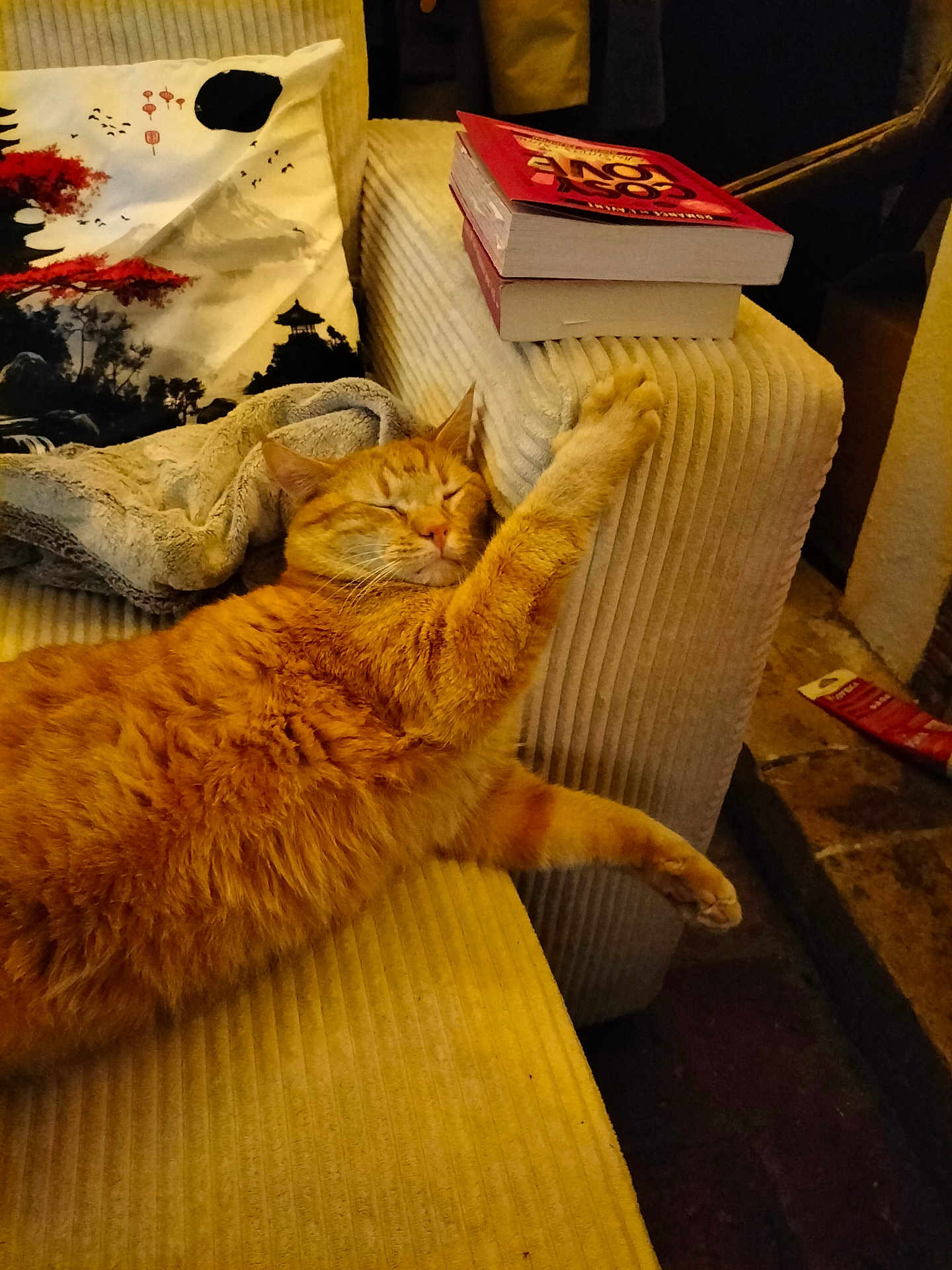 Titwix participe au concours pour gagner de l'argent avec cette photo : cat, orange_tabby, sleeping, couch, armrest, books, blanket, pillow, indoor, cozy, furniture, resting, pet, fur, relaxing, corduroy, home, living_room, comfort, nap