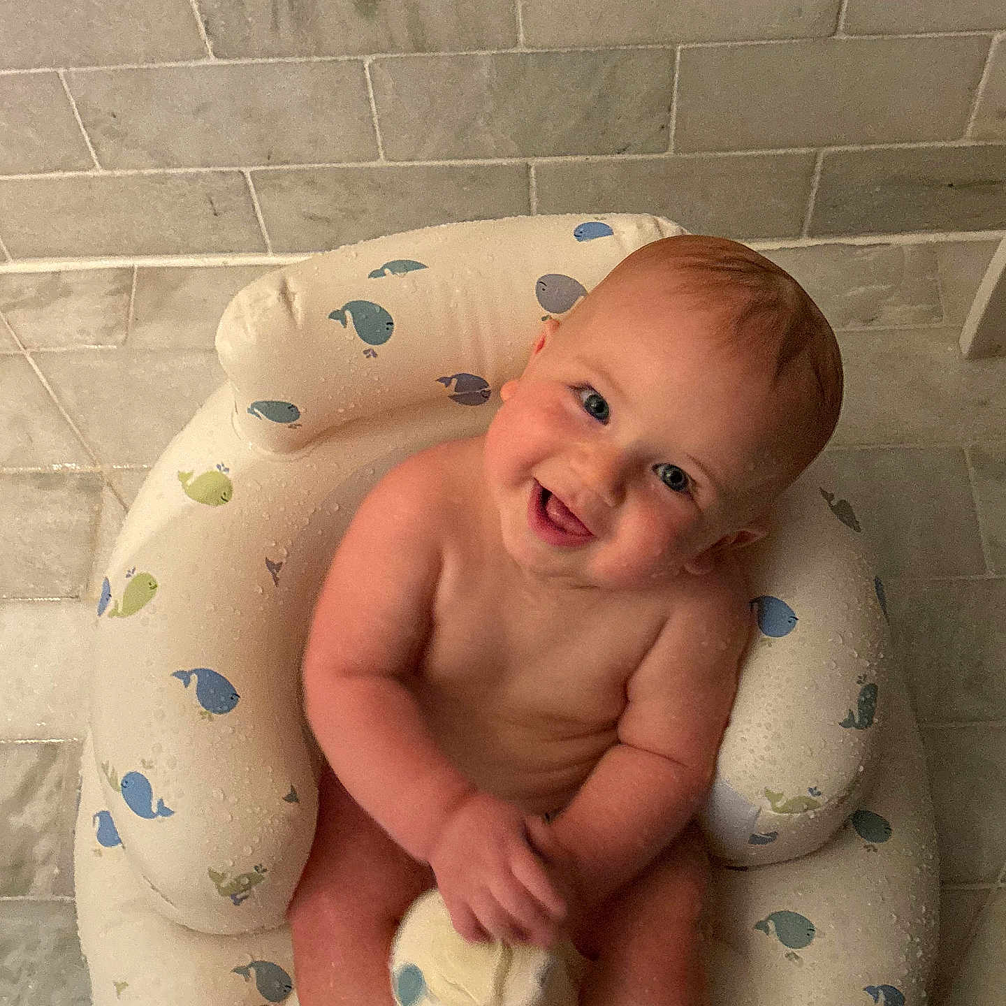 Roan joined the competition — help win amazing prizes! baby, bathroom, bottle, child, cute, happy, indoors, infant, inflatable_seat, naked, person, playful, sitting, skin, smiling, tile_floor, water_drops, wet, whale_pattern, young