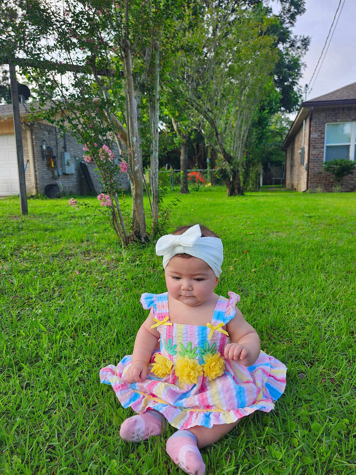 Rhianna is registered to the contest to win money with this photo: baby, child, grass, outdoor, dress, headband, flowers, greenery, nature, yard, house, socks, cute, sitting, summer, daylight, trees, pink, colorful, portrait