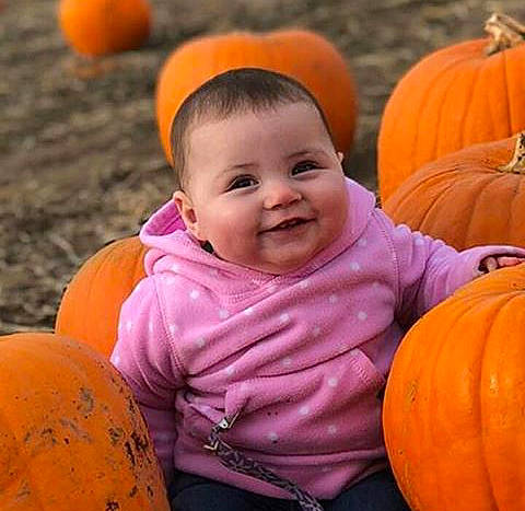 Jenna is registered to the contest to win money with this photo: calabaza, child, cucurbita, facial_expression, fun, girl, happiness, infant, joy, orange, person, pumpkin, smile, toddler, winter_squash