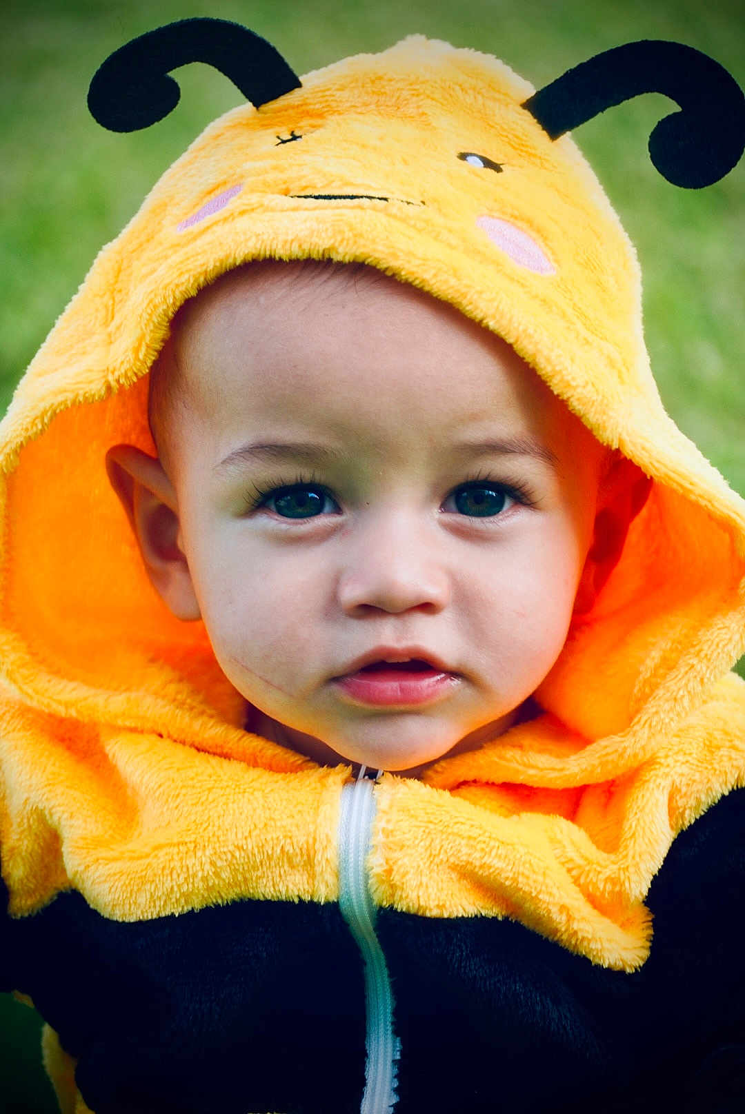 Judah