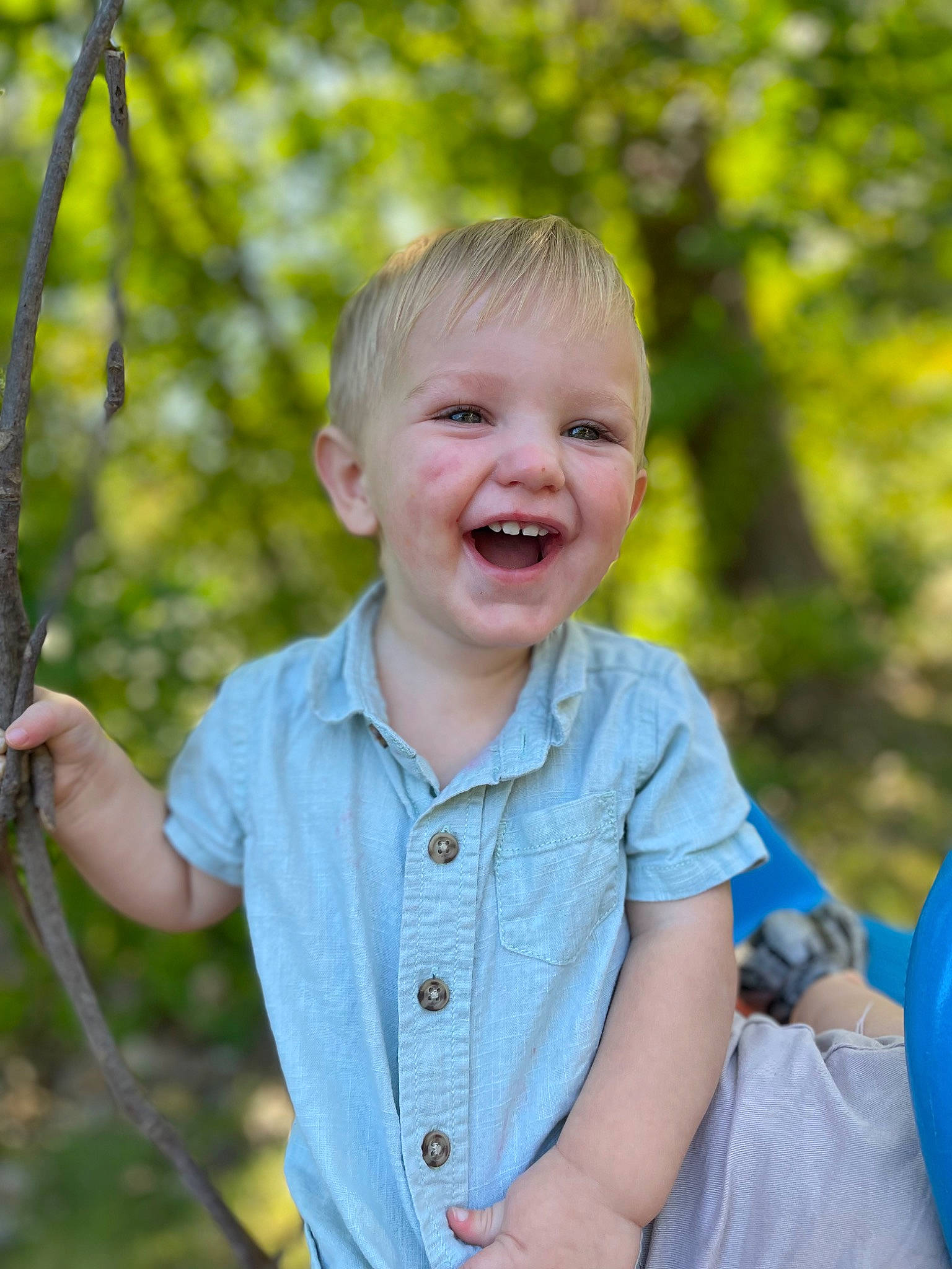 Holden is registered to the contest to win money with this photo: balloon, child, eye, facial_expression, gesture, grass, hand, happy, head, leaf, leisure, people_in_nature, person, plant, recreation, sleeve, smile, standing, toddler, tree