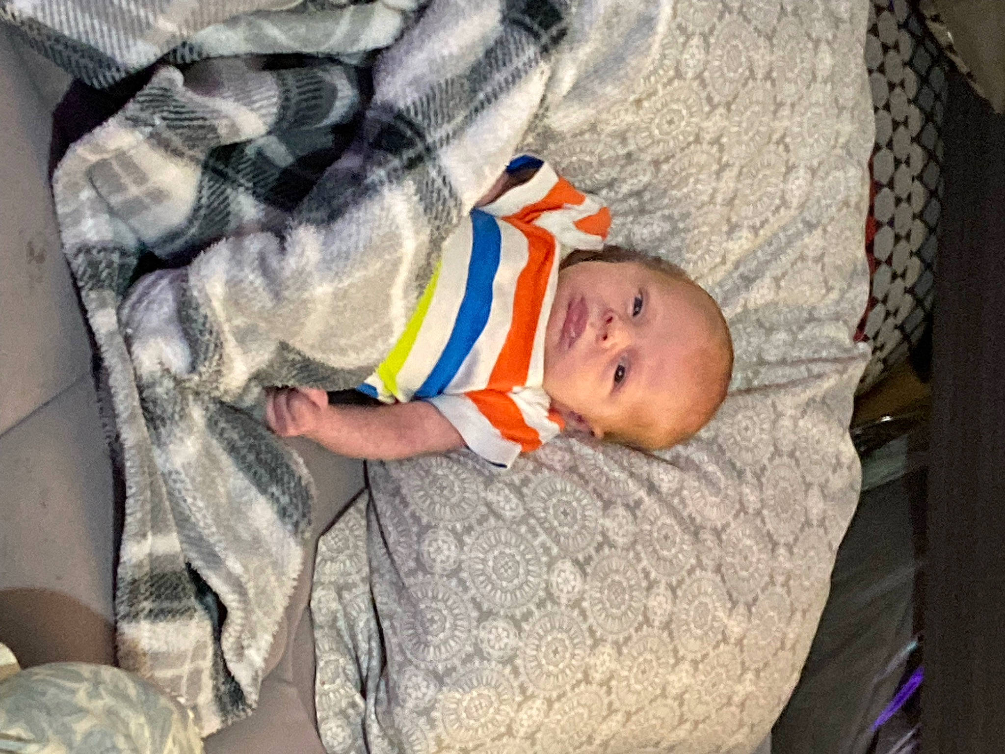 Bentley joined the competition — help win amazing prizes! baby, baby_products, baby_toddler_clothing, bedtime, child, comfort, linens, nap, pattern, person, room, sitting, sleep, toddler, tree