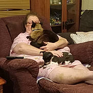 Peace is registered to the contest to win money with this photo: armchair, blinds, brown, cabinet, cat, cozy, curly_hair, dog, furniture, glasses, home, indoor, lap, pajamas, person, pet, pink, relaxing, resting, small_dog