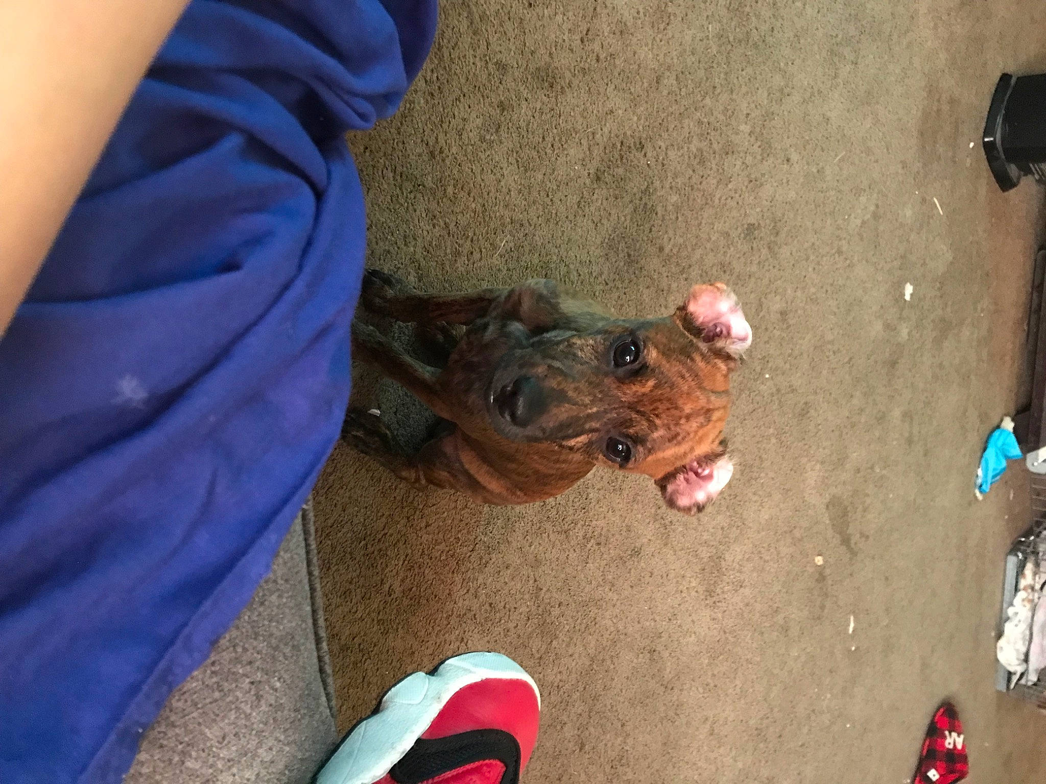 Jake joined the competition — help win amazing prizes! asphalt, carmine, concrete, electric_blue, fish, flooring, foot, fun, human_leg, personal_protective_equipment, recreation, reptile, road_surface, sand, shoe, sidewalk, soil, sporting_group